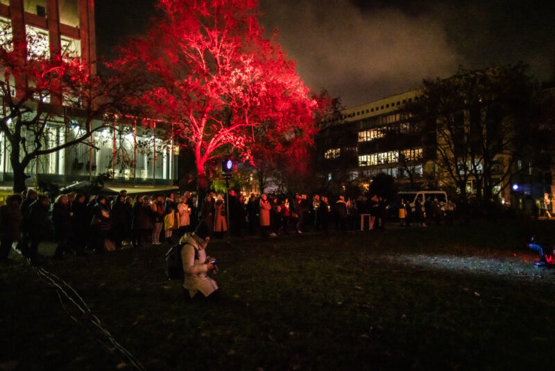 Image gallery image